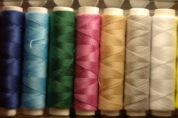 focus, fokus, Buch, Papier, Holz