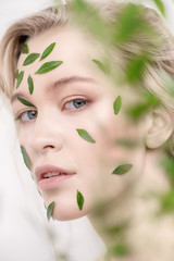 Naklejka premium eucalyptus leaves for skin