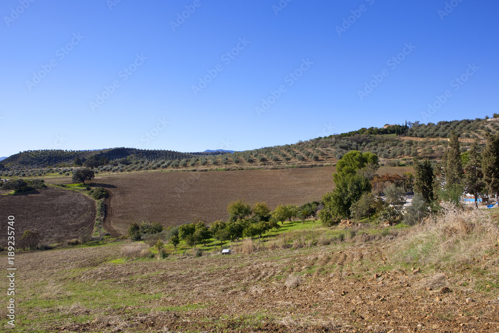 Sticker olive farming in spain