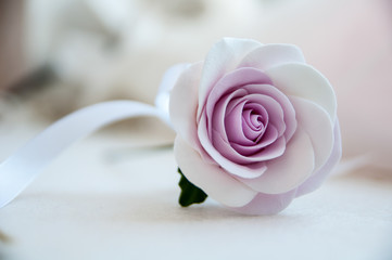 Beautiful rose lying on a table