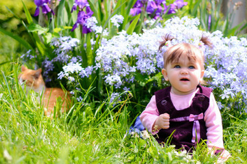 A beautiful Ukrainian little girl playing on a lawn with an ore cat