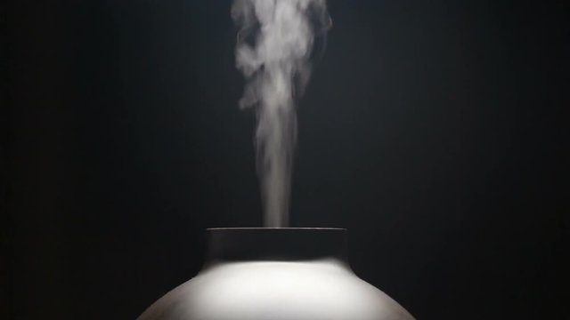 Active Natural Essential Oil Diffuser