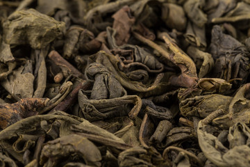 Gunpowder green tea