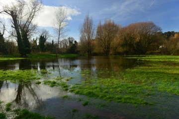 Grouville Common, Jersey, U.K.
Wide angle image of a Winter flood plain.
