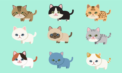 Cute pet cat breed collection flat style