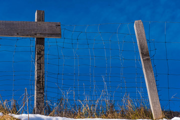 Drahtzaun Holzpflöcke