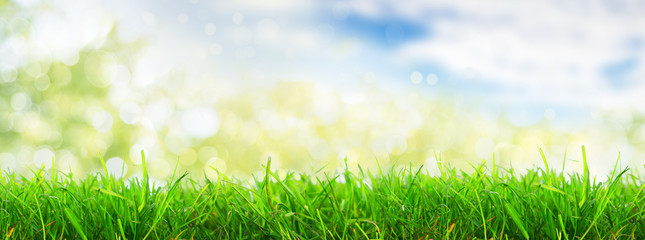 Obraz premium schöner Hintergrund natur