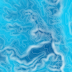 Fototapeta premium Topographic map background with space for copy . Line topography map contour background , geographic grid abstract vector illustration . Abstract geometric lines .