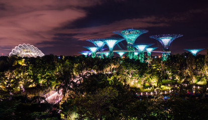 Night view of Supertrees at Gardens by the Bay and cityscape in Singapore. Amazing world like in an...