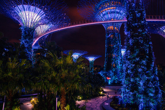 Night view of Supertrees at Gardens by the Bay and cityscape in Singapore. Amazing world like in an Avatar movie.