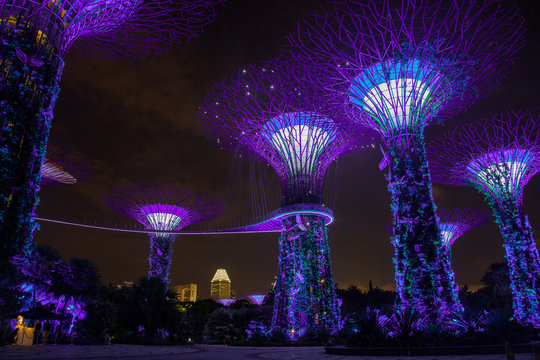 Night View Of Supertrees At Gardens By The Bay And Cityscape In Singapore. Amazing World Like In An Avatar Movie.
