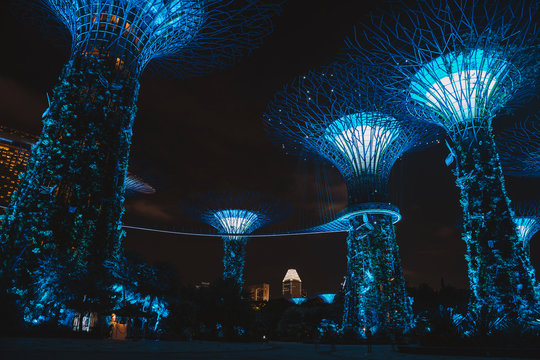 Night view of Supertrees at Gardens by the Bay and cityscape in Singapore. Amazing world like in an Avatar movie.