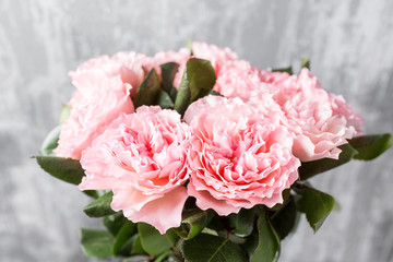 Beautiful pink Roses close up. Fresh flowers cut-off in the garden