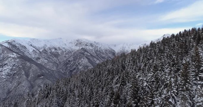 forward aerial over alpine mountain valley pine forest woods covered in snow in overcast winter.Europe Alps outdoor nature scape snowy mountains wild establisher.4k drone flight establishing shot
