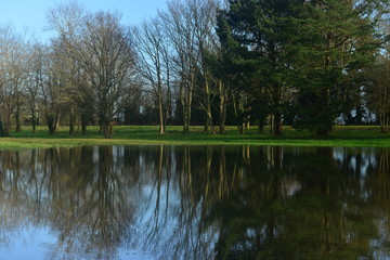 Fototapeta na wymiar Gorey common, Jersey, U.K. A flooded park.
