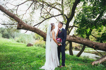 Wedding Couple at a wedding in nature park