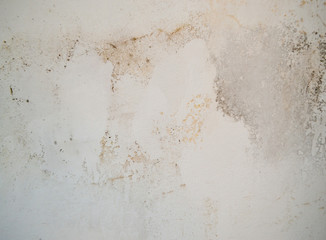 Cracked white wall with traces of moisture, mold and fungus