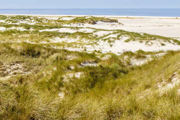 Strand mit Dünen auf Amrum, Deutschland, beach with dunes on Amrum, Germany