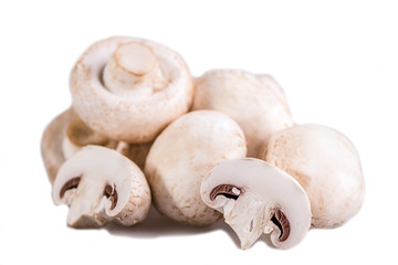 Fototapeta na wymiar white mushrooms on white background