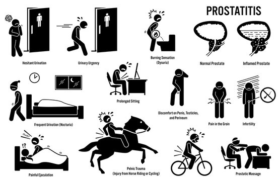 Prostatitis Prostate Patient Icons. Pictogram depicts prostatitis signs, symptoms, risks, diagnosis, and treatment by urologist. 