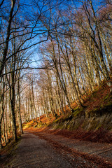 Vertical View of the Landscape in The Italian National Park of the Pollino Before the Sunset.