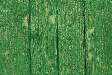 Fototapeta na wymiar Wood Material Background For Vintage Wallpaper. Green Wooden Fence . Wooden Background. Green Wooden Wall. 