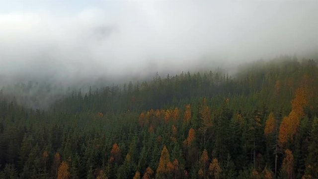 Aerial view of the mountains with a morning fog
