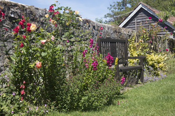 Flowers in a beautiful English Country garden