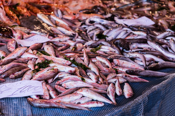 Fish at the fish market in Catania, Sicily