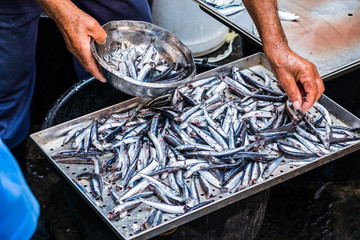 Fish at the fish market in Catania, Sicily