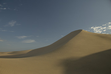 Fototapeta na wymiar Desert dune and sky