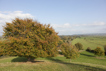Somerset countryside England