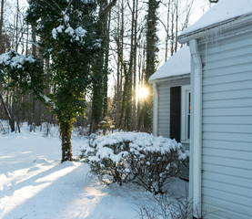 Snow Scene in Front of House with Trees and Bushes and Sunshine Rays Through Background Trees
