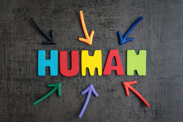 Human jobs replaced by robots awareness concept, multiple arrow pointing to colorful alphabets HUMAN on black cement wall background, importance of humanity that better than robot