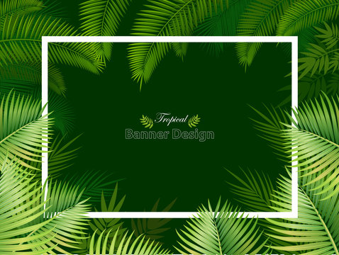 Frame from palm leaves on green background