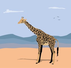 vector illustration of giraffe and hills in the background