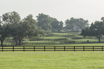 Thoroughbred horse farm paddocks.