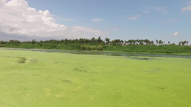 San Jos&eacute; Del Cabo laguna estero