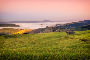 Fototapeta premium Terraced Paddy Field in Mae-Jam Village , Chaingmai Province , Thailand