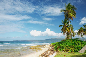 stunning beautiful picturesque Caribbean landscape, Dominican Republic