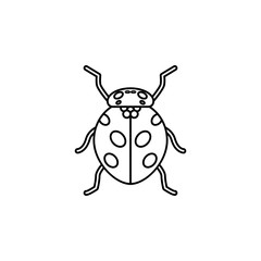 ladybug icon. Insect world elements icon. Premium quality graphic design icon. Simple line icon for websites, web design, mobile app, info graphics