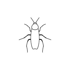 cockroach icon. Insect world elements icon. Premium quality graphic design icon. Simple line icon for websites, web design, mobile app, info graphics