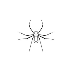 spider icon. Insect world elements icon. Premium quality graphic design icon. Simple line icon for websites, web design, mobile app, info graphics
