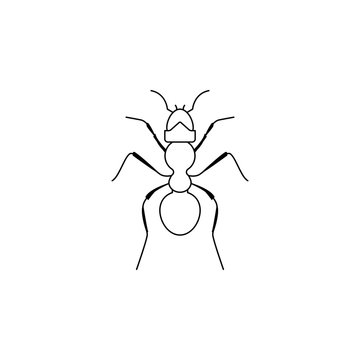 ant icon. Insect world elements icon. Premium quality graphic design icon. Simple line icon for websites, web design, mobile app, info graphics