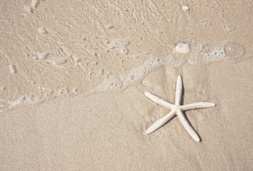 Fototapeta na wymiar starfish and clear water on the sandy beach