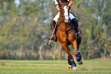 Schilderijen op glas The player and the horse in the polo © Hola53