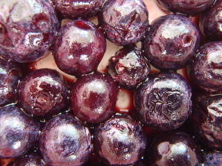 Close up of some frozen blueberries