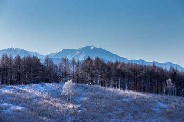 霧ヶ峰高原夜明けの霧氷