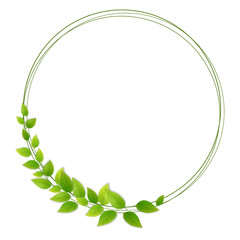 Wreath of fresh green leaves. Tree branches round frame. Decor for invitations and greeting cards.