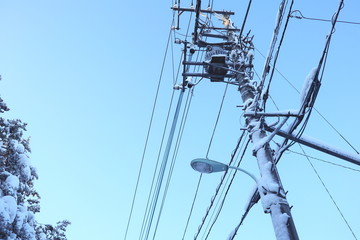 雪と電柱